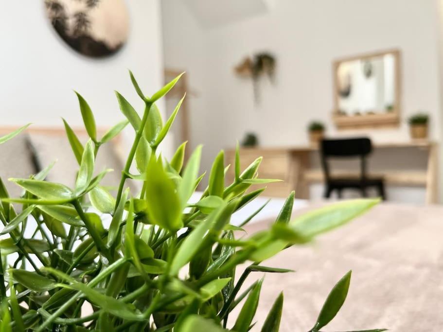 Apartamento Vive Zaragoza V Экстерьер фото